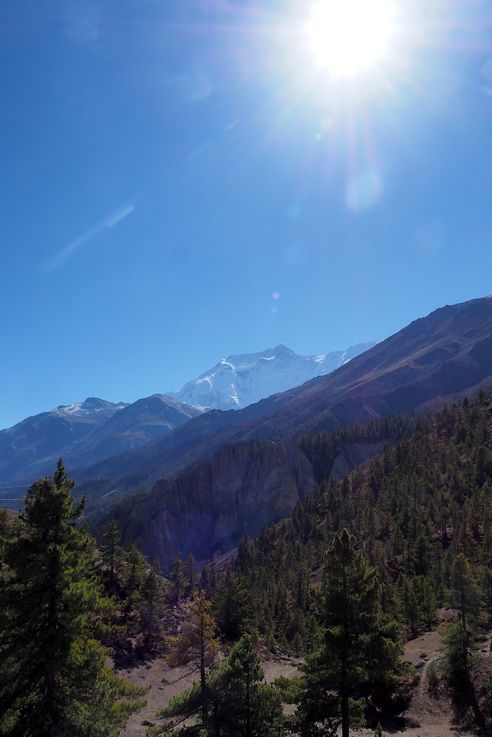 Village de Manang
Altitude : 3721 mètres