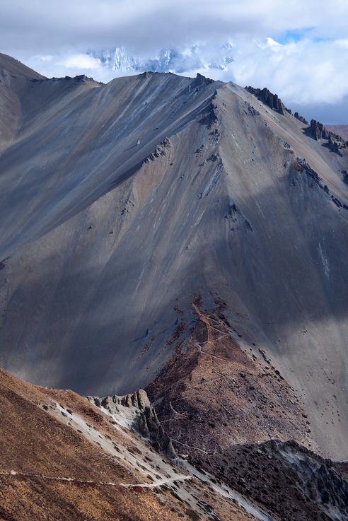 Trek Tour des Annapurnas
Altitude : 4486 mètres
