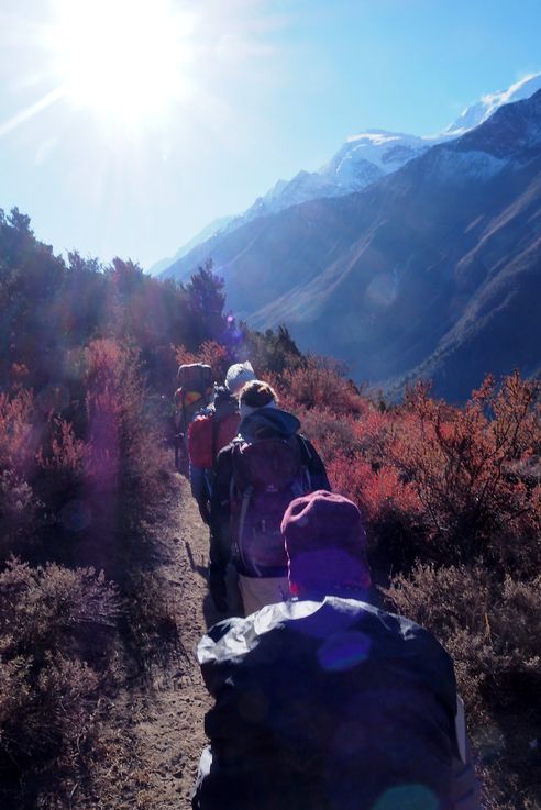 Trek Tour des Annapurnas
Altitude : 3997 mètres