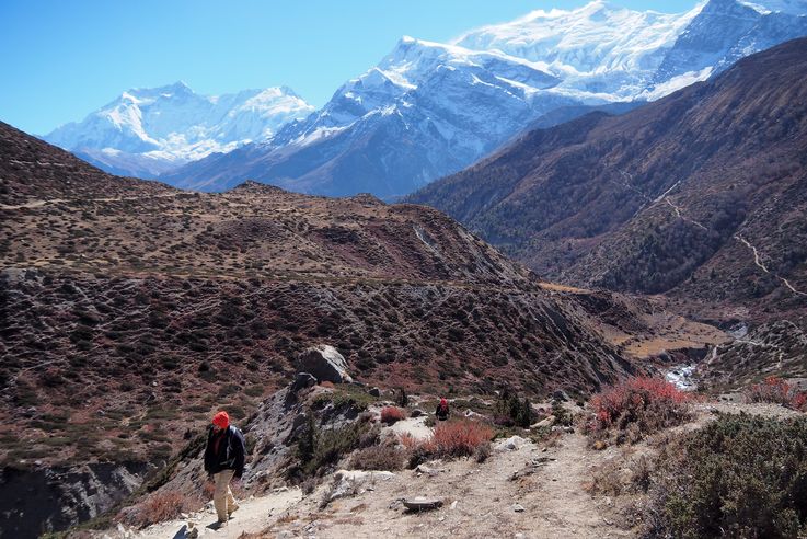 Trek Tour des Annapurnas
Altitude : 3921 mètres
