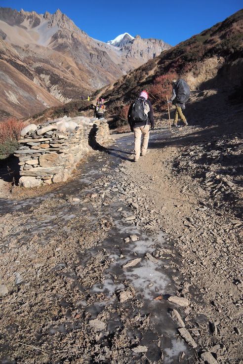Trek Tour des Annapurnas
Altitude : 4200 mètres