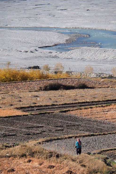 Travaux des champs à Kagbeni
Altitude : 2819 mètres