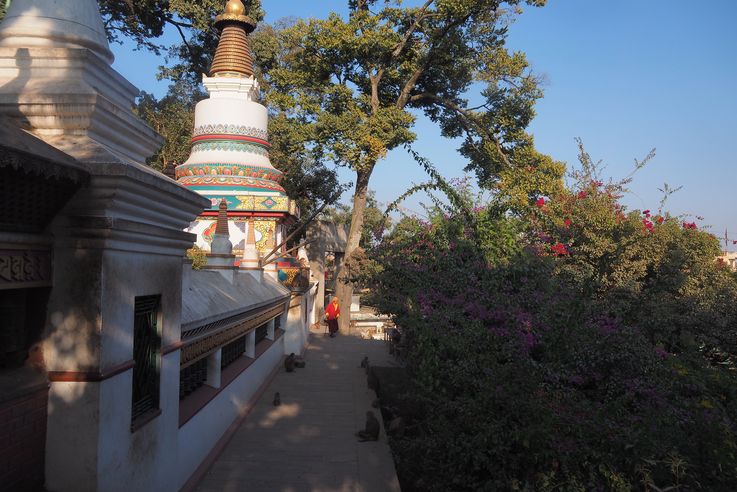 Swayambunath (Katmandou)
Altitude : 1284 mètres