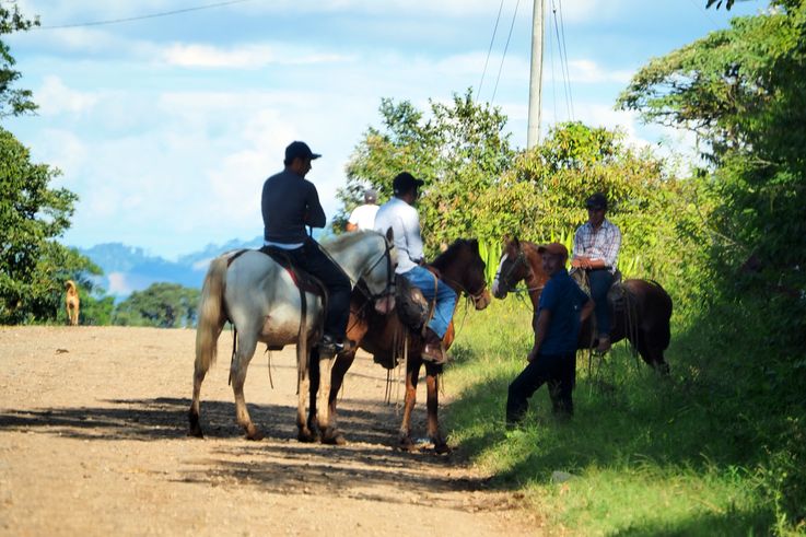 El Chapernal - région d'Estelí
Altitude : 1393 mètres