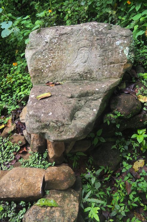 Finca El Jalacate - Région d'Estelí
Altitude : 1347 mètres