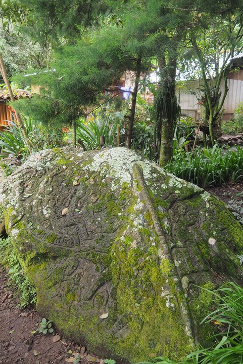 Finca El Jalacate - Région d'Estelí
Altitude : 1346 mètres