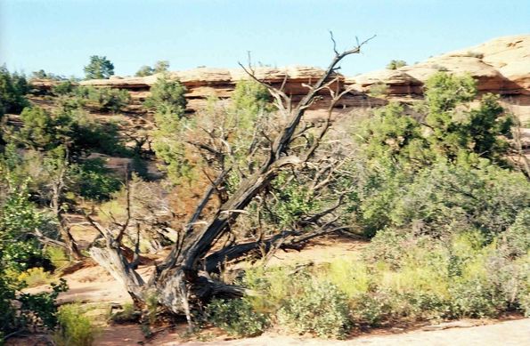 Arches Park
