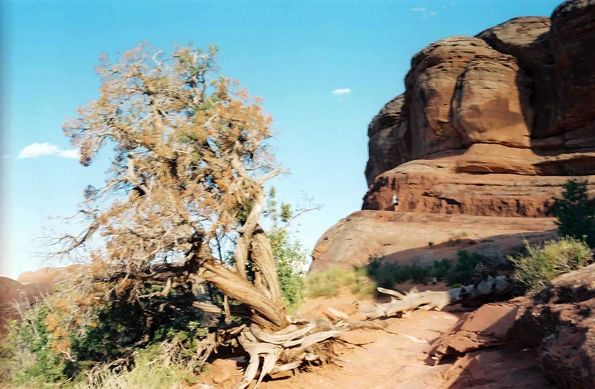 Arches Park