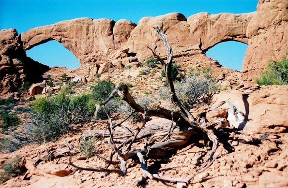 Windows North et South à Arches Park