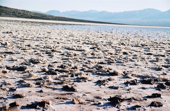 Badwater. Vallée de la mort.