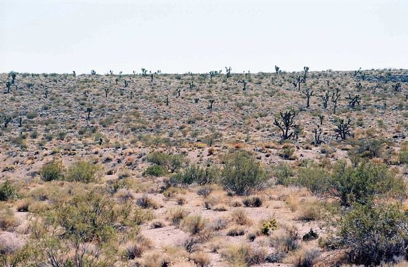 La vallée de la mort