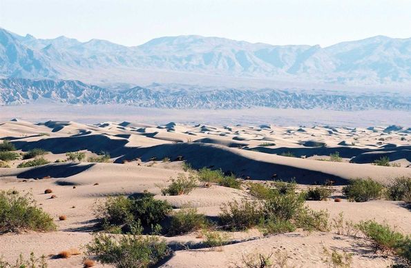 Sand dunes. Vallée de la mort.