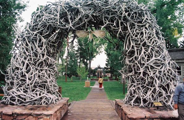 Bois de cervidés dans la ville de Jackson Hole