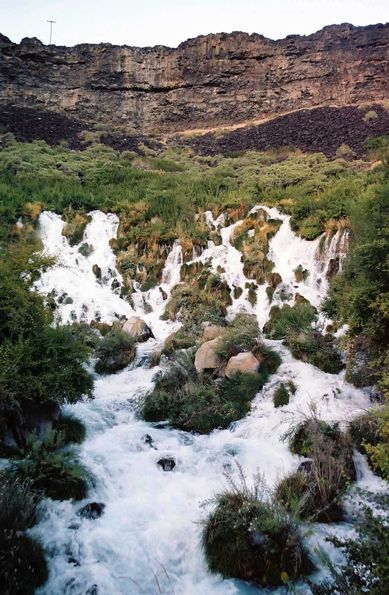 Niaraga Springs