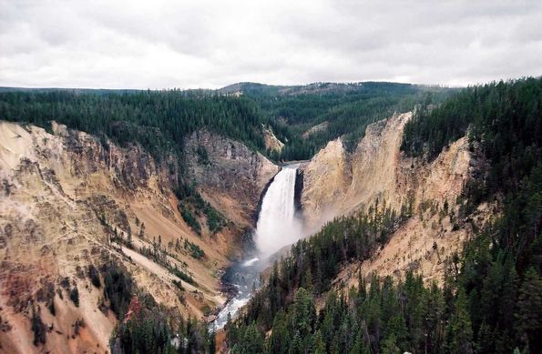 Lower falls. Yellowstone