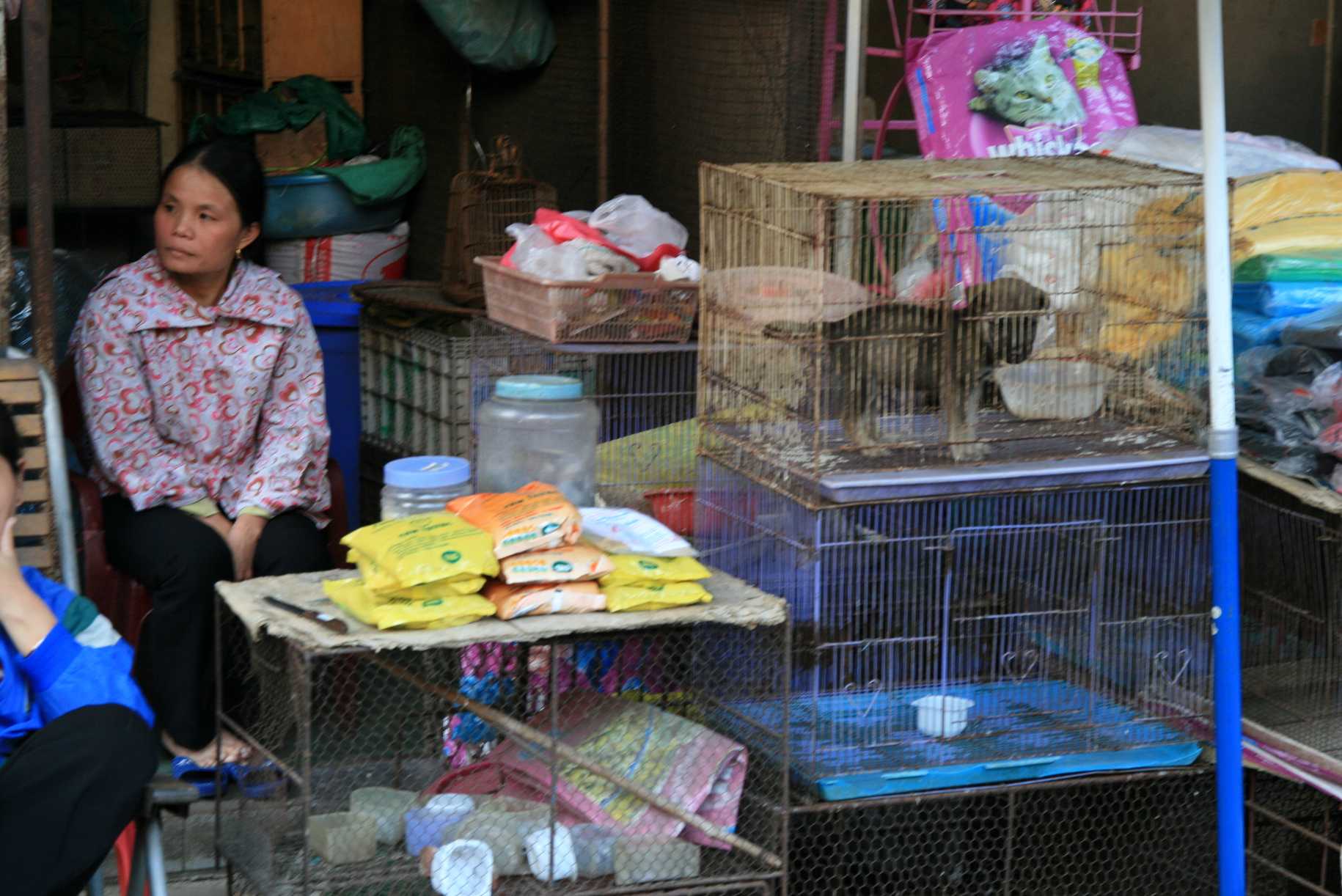 Un chien en cage au marché couvert d'Hanoï...
