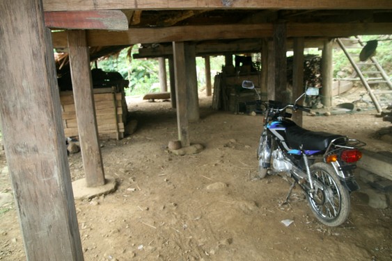 Sous les maisons sur pilotis dans la vallée de Mai Chau