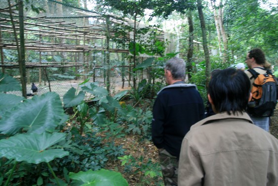 Au Endangered Primate Rescue Center