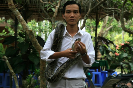 Exhibition d'un python près de la ville de Cai Be
