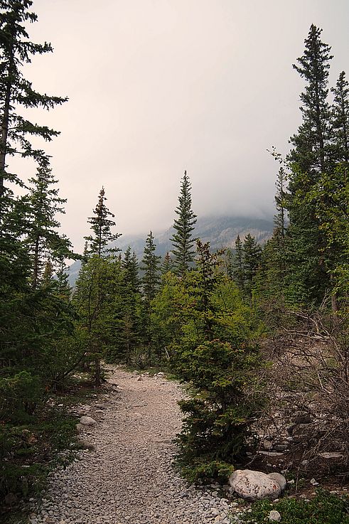 Sentier de randonnée de Grotto Canyon sous la brume.