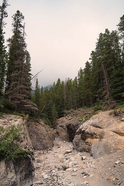 Sentier rocheux dans le Grotto Canyon.
