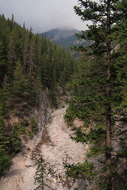 Lit de rivière asséché dans le Grotto Canyon Trail.