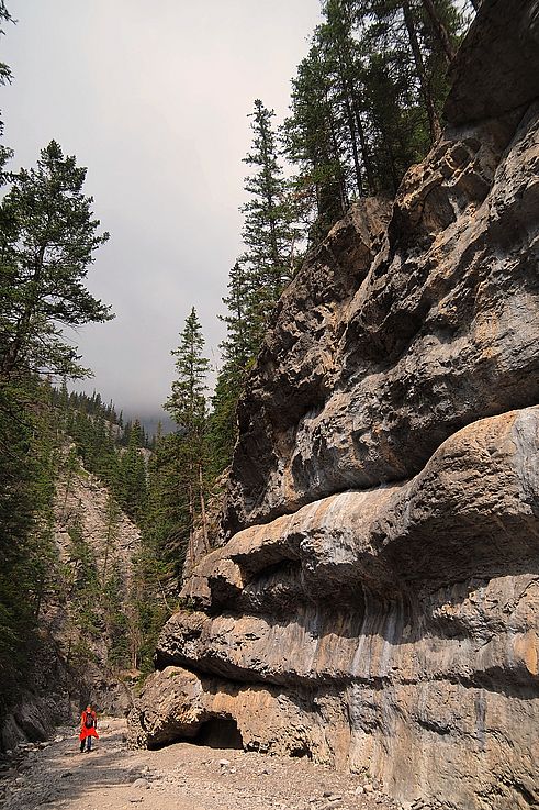 Paroi rocheuse le long du sentier de Grotto Canyon.
