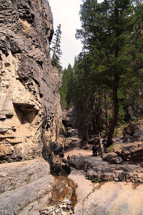 Sentier de randonnée dans le Grotto Canyon.