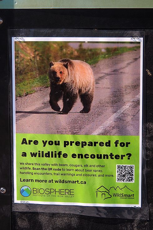 Panneau d'information sur la sécurité face aux ours grizzly du programme WildSmart à Canmore.