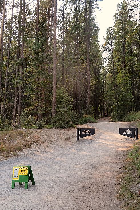Panneau de mise en garde contre la présence d'ours sur le sentier de Grassi Lakes.