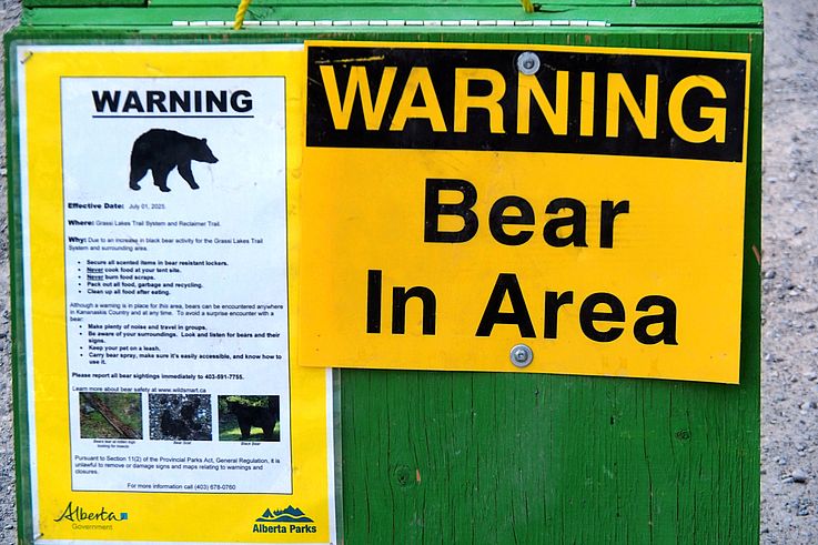Panneau d'avertissement relatif à la présence d'ours noirs sur le sentier de Grassi Lakes, géré par Alberta Parks.