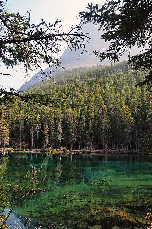 Reflet de la forêt et de la montagne dans les eaux turquoise du lac Grassi, à Canmore.