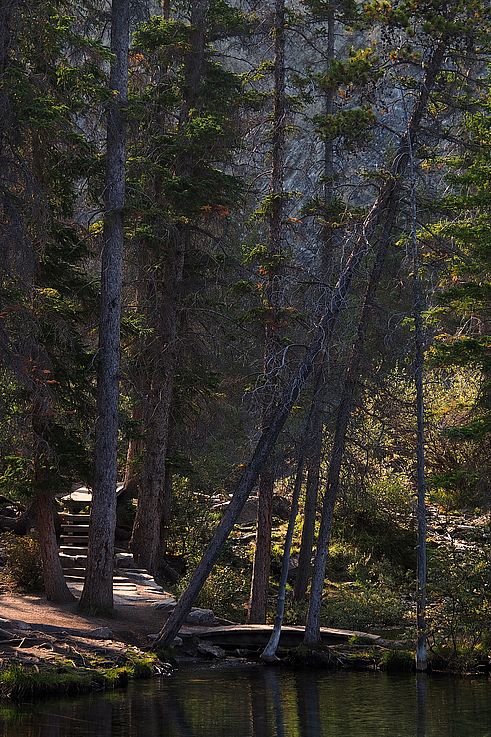 Sentier et escalier en forêt près des lacs Grassi.