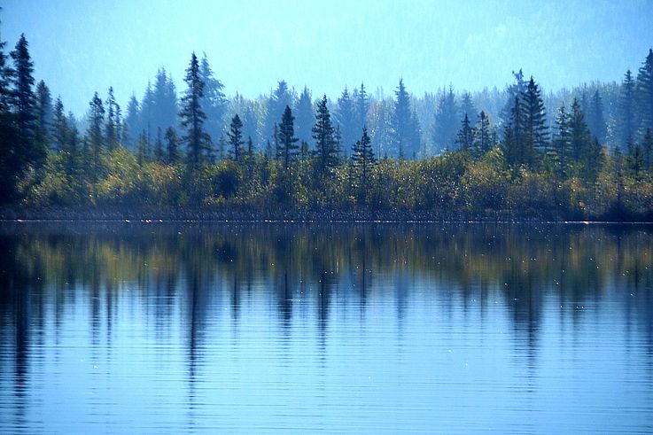 Reflet de la forêt boréale sur les lacs Vermilion, à Banff.