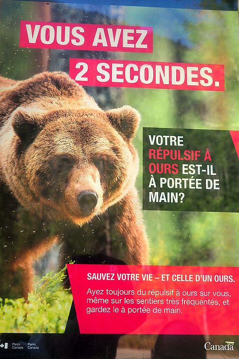 Panneau d'information de Parcs Canada concernant la prévention des rencontres avec des grizzlys (Ursus arctos horribilis) à Banff.