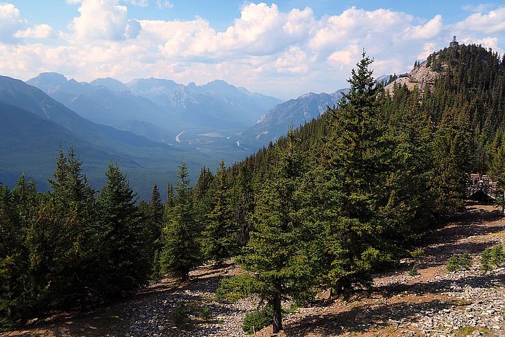 Vue sur la vallée de la Bow depuis la promenade du mont Sulphur, près de Banff.