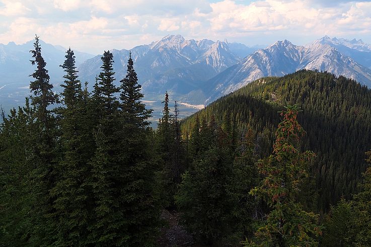 Vue sur les Rocheuses depuis le mont Sulphur, dans le parc national Banff.