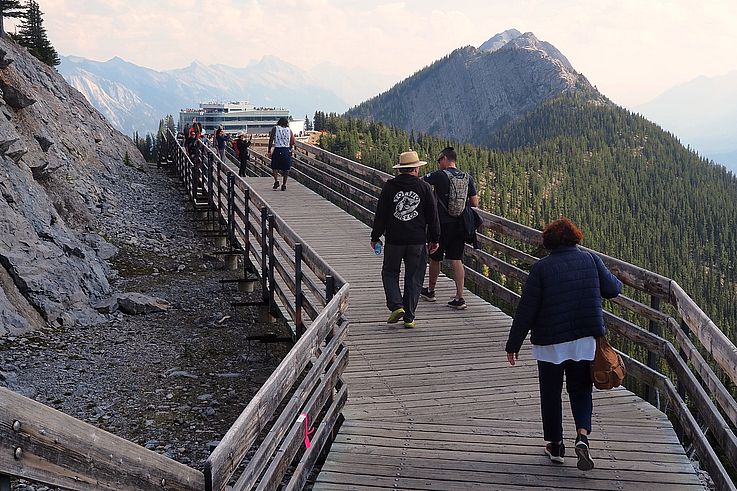 Promenade en bois menant au sommet du mont Sulphur, à proximité de la station supérieure du téléphérique de Banff.