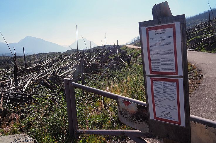 Panneau d'information sur la fermeture de zone liée aux incendies de forêt au Mont Edith Cavell, parc national Jasper.