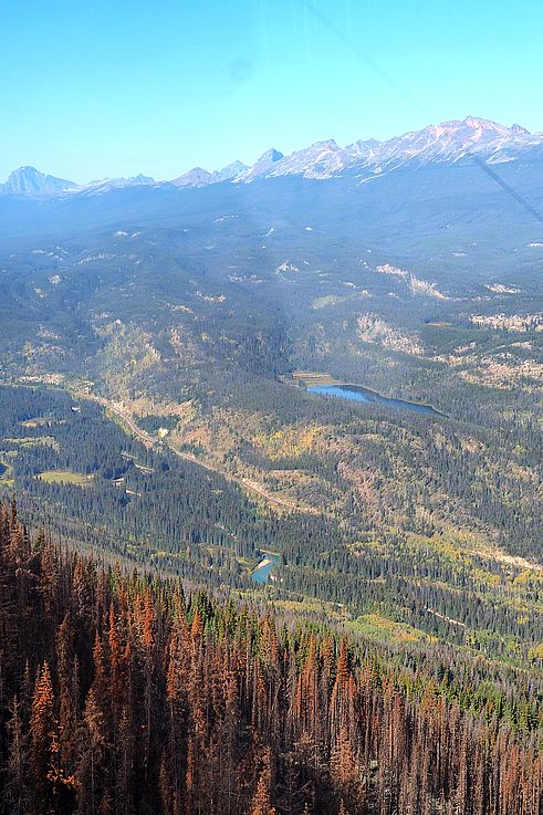 Vue sur la vallée de l'Athabasca depuis le sommet de la montagne The Whistlers, parc national Jasper.
