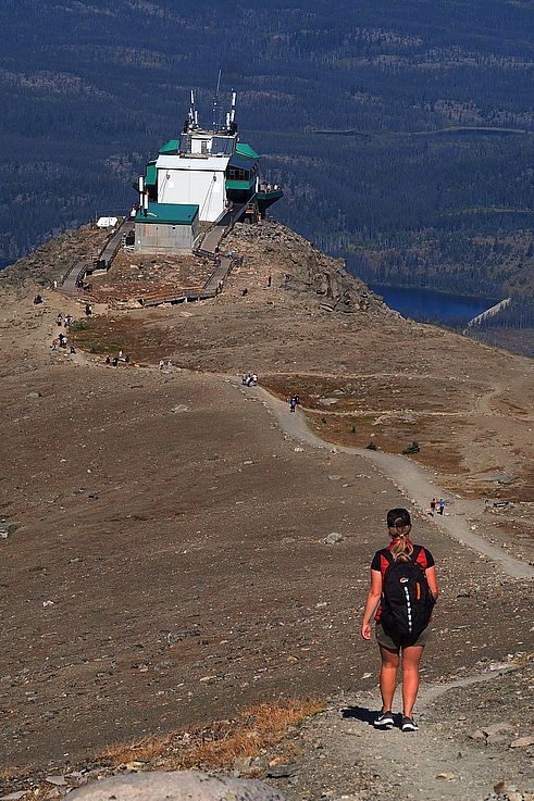 Randonneuse sur le sentier menant à la station supérieure du Jasper Skytram au sommet des Whistlers.