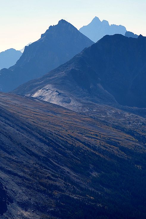 Sommets montagneux vus depuis le mont Whistlers, dans le parc national Jasper.