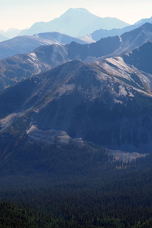 Chaînes de montagnes du secteur The Whistlers dans le parc national Jasper.