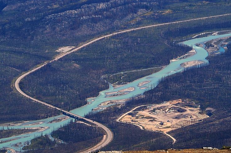 Forêt brûlée bordant la rivière Athabasca dans le parc national Jasper.
