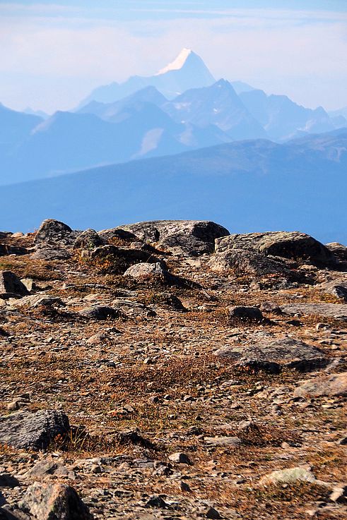 Vue du mont Robson depuis le sommet des Whistlers dans le parc national Jasper.