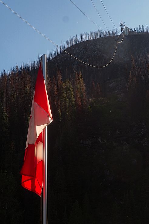 Drapeau national et forêt brûlée sur le mont Whistlers, vue depuis le Jasper SkyTram.
