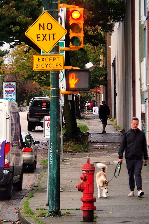 Walker and his dog on the sidewalk of the Gastown district in Vancouver.