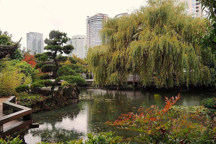 Pond of the Dr. Sun Yat-sen Chinese Garden in the Chinatown district in Vancouver.