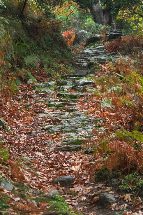 En las gargantas de Dimosari