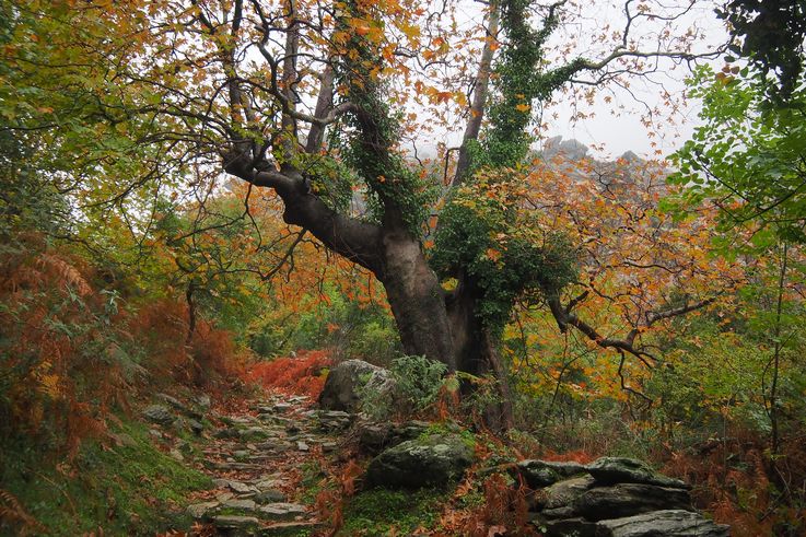 En las gargantas de Dimosari